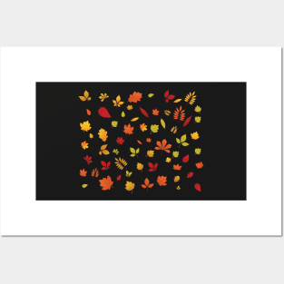 Beauty of Autumn Posters and Art